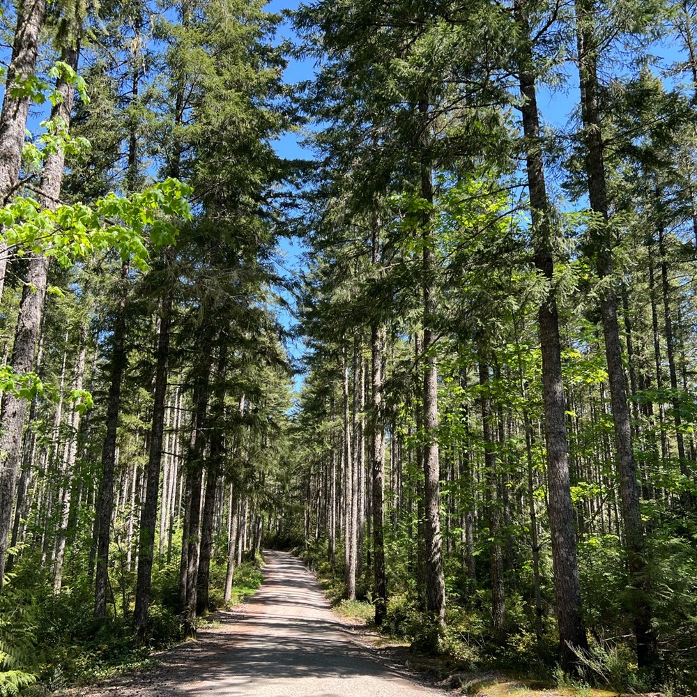 Meet your Posher, Maddie